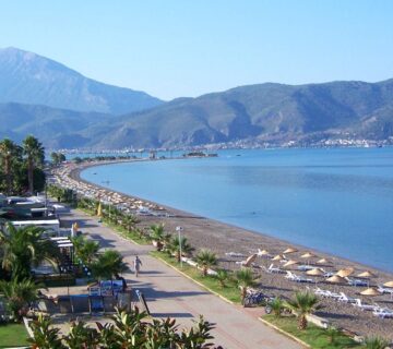 Calis